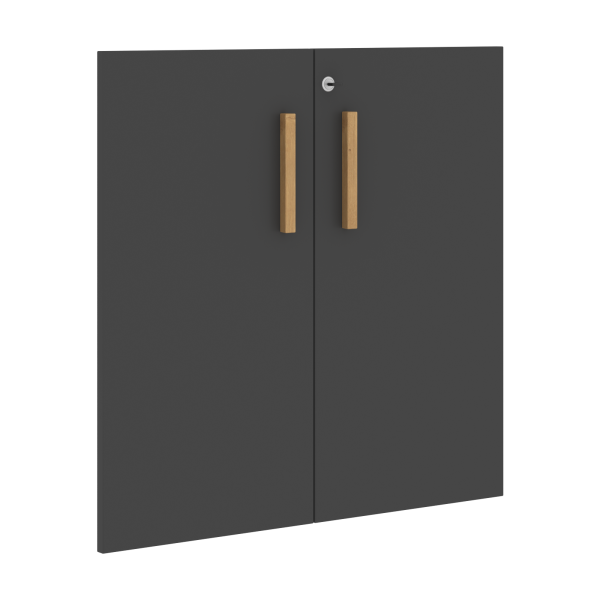 FLD_40_2_Z__Dveri_s_zakom_grafit.png